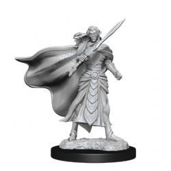 ROLEPLAYING MINIATURES -  ELF FIGHTER AND CLERIC -  MAGIC THE GATHERING