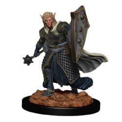 ROLEPLAYING MINIATURES -  ELF MALE CLERIC -  DUNGEONS & DRAGONS ICONS OF THE REALMS