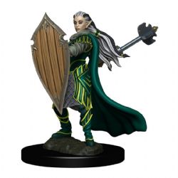 ROLEPLAYING MINIATURES -  ELF PALADIN FEMALE -  DUNGEONS & DRAGONS ICONS OF THE REALMS