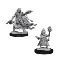 ROLEPLAYING MINIATURES -  EVIL WIZARDS -  DEEP CUTS PATHFINDER