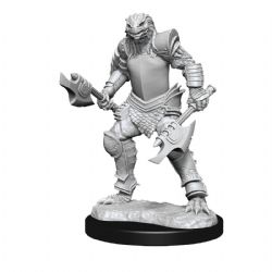 ROLEPLAYING MINIATURES -  FEMALE DRAGONBORN FIGHTER (2) -  DUNGEONS & DRAGONS D&D NOLZUR'S MARVELOUS MI