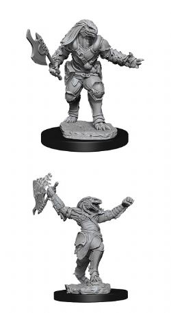 ROLEPLAYING MINIATURES -  FEMALE DRAGONBORN FIGHTER -  DUNGEONS & DRAGONS D&D NOLZUR'S MARVELOUS UN