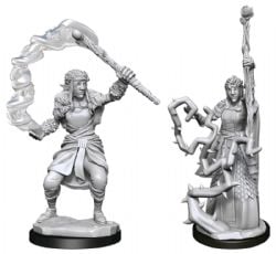 ROLEPLAYING MINIATURES -  FEMALE FIRBOLG DRUID -  DUNGEONS & DRAGONS 5 D&D NOLZUR'S MARVELLOUS M