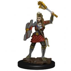 ROLEPLAYING MINIATURES -  FEMALE HUMAN CLERIC -  DUNGEONS & DRAGONS ICONS OF THE REALMS