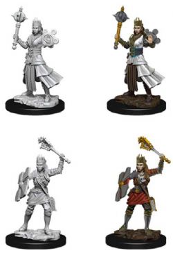 ROLEPLAYING MINIATURES -  FEMALE HUMAN CLERIC FIGURES (2) -  D&D NOLZUR'S MARVELOUS MINIATURES DUNGEONS & DRAGONS 5