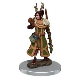 ROLEPLAYING MINIATURES -  FEMALE HUMAN DRUID -  DUNGEONS & DRAGONS ICONS OF THE REALMS