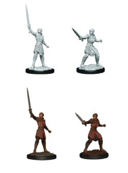 ROLEPLAYING MINIATURES -  FEMALE HUMAN EMPIRE FIGHTER -  CRITICAL ROLE