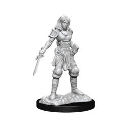 ROLEPLAYING MINIATURES -  FEMALE HUMAN FIGHTER (2) -  PATHFINDER DEEP CUTS