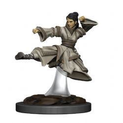 ROLEPLAYING MINIATURES -  FEMALE HUMAN MONK -  DUNGEONS & DRAGONS ICONS OF THE REALMS