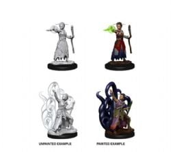 ROLEPLAYING MINIATURES -  FEMALE HUMAN WARLOCK -  DUNGEONS & DRAGONS D&D NOLZUR'S MARVELOUS MI