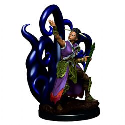 ROLEPLAYING MINIATURES -  FEMALE HUMAN WARLOCK -  DUNGEONS & DRAGONS ICONS OF THE REALMS