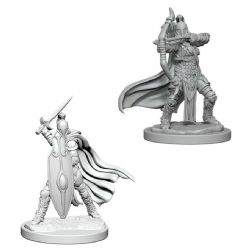 ROLEPLAYING MINIATURES -  FEMALE KNIGHTS / GRAY MAIDENS (2) -  DEEP CUTS PATHFINDER