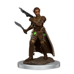 ROLEPLAYING MINIATURES -  FEMALE SHIFTER ROGUE -  DUNGEONS & DRAGONS ICONS OF THE REALMS