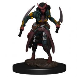 ROLEPLAYING MINIATURES -  FEMALE TIEFLING ROGUE -  DUNGEONS & DRAGONS ICONS OF THE REALMS