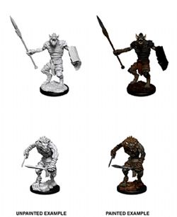 ROLEPLAYING MINIATURES -  GNOLL/GNOLL FLESH GNAWER -  DUNGEONS & DRAGONS D&D NOLZUR'S MARVELOUS UN