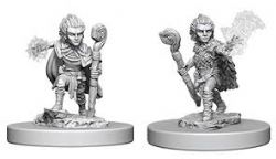 ROLEPLAYING MINIATURES -  GNOME MALE DRUID (2) -  DUNGEONS & DRAGONS D&D NOLZUR'S MARVELOUS MI