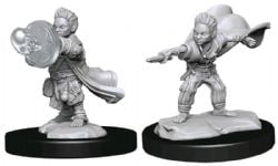 ROLEPLAYING MINIATURES -  HALFLING WIZARD MALE -  PATHFINDER DEEP CUTS