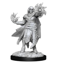 ROLEPLAYING MINIATURES -  HOBGOBLIN MALE FIGHTER FEMALE WIZARD -  DUNGEONS & DRAGONS D&D NOLZUR'S MARVELOUS MI