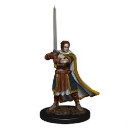 ROLEPLAYING MINIATURES -  HUMAN CLERIC MALE -  DUNGEONS & DRAGONS ICONS OF THE REALMS