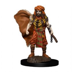 ROLEPLAYING MINIATURES -  HUMAN DRUID MALE -  DUNGEONS & DRAGONS ICONS OF THE REALMS
