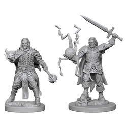 ROLEPLAYING MINIATURES -  HUMAN MALE CLERIC (2) -  PATHFINDER DEEP CUTS