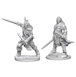 ROLEPLAYING MINIATURES -  HUMAN MALE FIGHTER (2) -  DEEP CUTS PATHFINDER