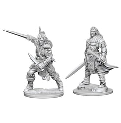 ROLEPLAYING MINIATURES -  HUMAN MALE FIGHTER (2) -  PATHFINDER DEEP CUTS