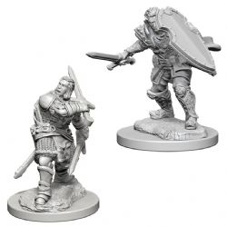 ROLEPLAYING MINIATURES -  HUMAN MALE PALADIN FIGURES (2) -  D&D NOLZUR'S MARVELLOUS MINIATURES DUNGEONS & DRAGONS 5