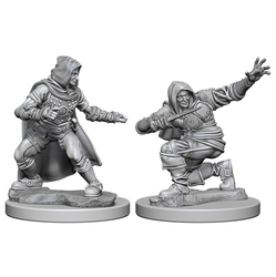 ROLEPLAYING MINIATURES -  HUMAN MALE ROGUE (2) -  DEEP CUTS PATHFINDER