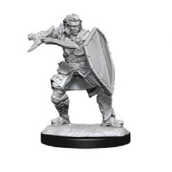 ROLEPLAYING MINIATURES -  HUMAN PALADIN MALE -  DUNGEONS & DRAGONS D&D NOLZUR'S MARVELOUS UN