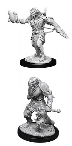 ROLEPLAYING MINIATURES -  MALE DRAGONBORN PALADIN -  DUNGEONS & DRAGONS D&D NOLZUR'S MARVELOUS UN