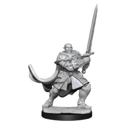 ROLEPLAYING MINIATURES -  MALE HALF-ORC PALADIN (2) -  DUNGEONS & DRAGONS D&D NOLZUR'S MARVELOUS MI