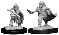 ROLEPLAYING MINIATURES -  MALE HALFLING ROGUE -  DUNGEONS & DRAGONS D&D NOLZUR'S MARVELOUS MI