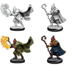 ROLEPLAYING MINIATURES -  MALE HOBGLOBIN WIZARD AND DRUID -  CRITICAL ROLE
