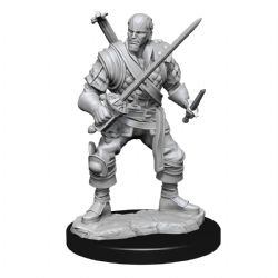 ROLEPLAYING MINIATURES -  MALE HUMAN BARD (2) -  DUNGEONS & DRAGONS D&D NOLZUR'S MARVELOUS MI