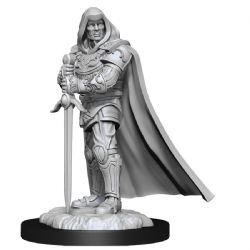 ROLEPLAYING MINIATURES -  MALE HUMAN PALADIN -  DUNGEONS & DRAGONS D&D NOLZUR'S MARVELOUS MI