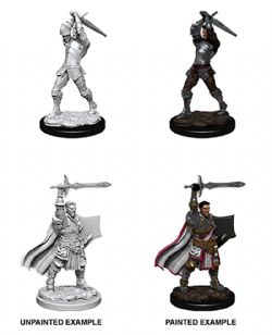 ROLEPLAYING MINIATURES -  MALE HUMAN PALADIN -  DUNGEONS & DRAGONS D&D NOLZUR'S MARVELOUS UN