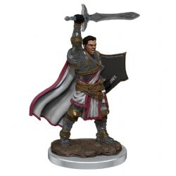 ROLEPLAYING MINIATURES -  MALE HUMAN PALADIN -  DUNGEONS & DRAGONS ICONS OF THE REALMS