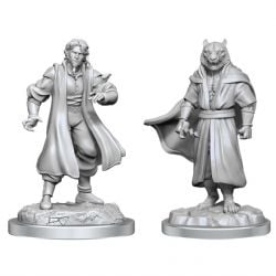 ROLEPLAYING MINIATURES -  MALE HUMAN SORCERER MERCHANT & TIGER DEMON -  CRITICAL ROLE