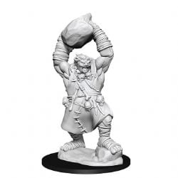 ROLEPLAYING MINIATURES -  OGRE -  PATHFINDER DEEP CUTS