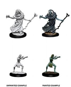 ROLEPLAYING MINIATURES -  SEA HAG AND BHEUR HAG -  DUNGEONS & DRAGONS D&D NOLZUR'S MARVELOUS UN