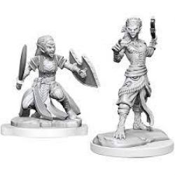 ROLEPLAYING MINIATURES -  SHIFTER FIGHTER -  DUNGEONS & DRAGONS D&D NOLZUR'S MARVELOUS MI
