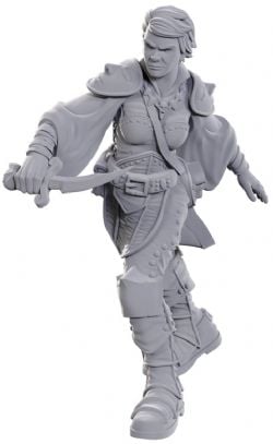 ROLEPLAYING MINIATURES -  SWASHBUCKLER -  D&D NOLZUR'S MARVELOUS MINIATURES