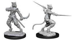 ROLEPLAYING MINIATURES -  TABAXI ROGUE FIGURES (2) -  DUNGEONS & DRAGONS D&D NOLZUR'S MARVELOUS MI