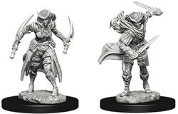 ROLEPLAYING MINIATURES -  TIEFLING FEMALE ROGUE (2) -  D&D NOLZUR'S MARVELOUS MINIATURES DUNGEONS & DRAGONS 5