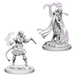 ROLEPLAYING MINIATURES -  TIEFLING FEMALE SORCEROR -  D&D NOLZUR'S MARVELOUS MINIATURES DUNGEONS & DRAGONS 5