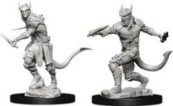 ROLEPLAYING MINIATURES -  TIEFLING MALE ROGUE (2) -  D&D NOLZUR'S MARVELOUS MINIATURES DUNGEONS & DRAGONS 5