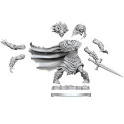 ROLEPLAYING MINIATURES -  WIGHT -  DUNGEONS & DRAGONS FRAMEWORKS