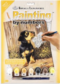 ROYAL & LANGNICKEL -  PAINT BY NUMBERS - Daschund Puppy