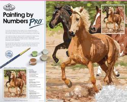 ROYAL & LANGNICKEL -  PAINT BY NUMBERS - Galloping Horse